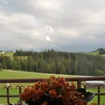 民宿 U Marysi Leśnica